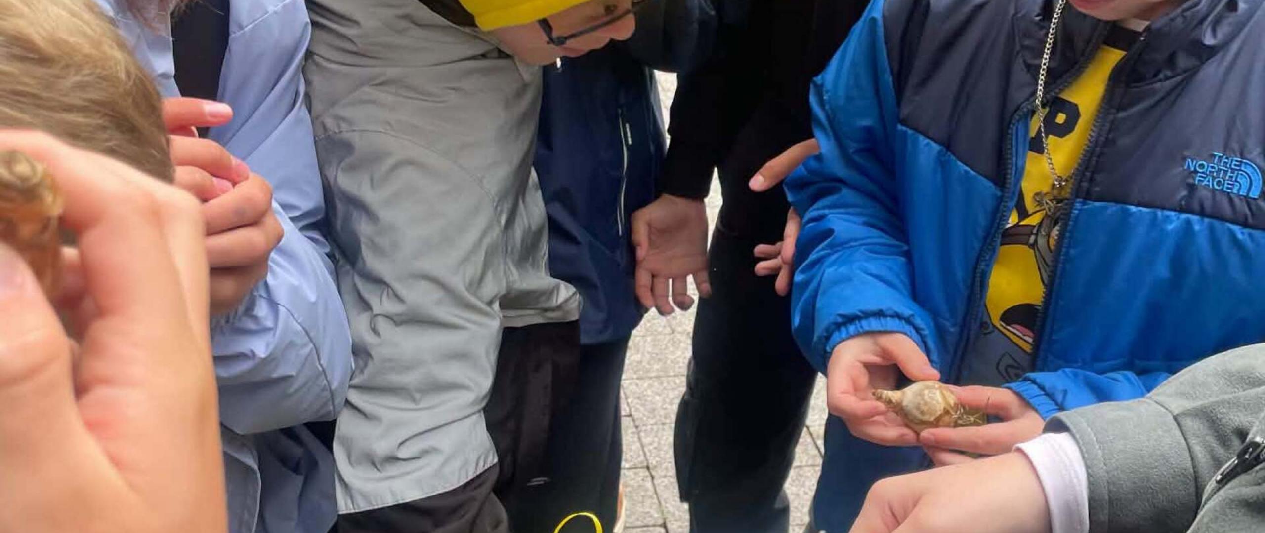 .